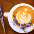 The Ultimate Guide to Choosing the Perfect Cafe for a Business Meeting in Sonoma County